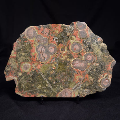 RHYOLITE (RAINFOREST JASPER), Australia YSC115