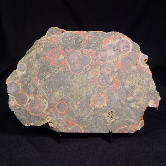 RHYOLITE (RAINFOREST JASPER), Australia YSC115