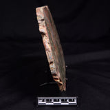 RHYOLITE (RAINFOREST JASPER), Australia YSC115
