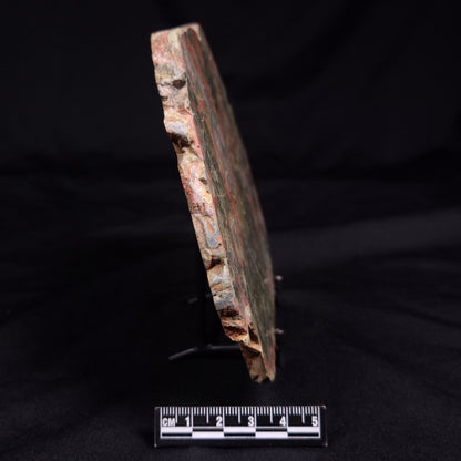 RHYOLITE (RAINFOREST JASPER), Australia YSC115