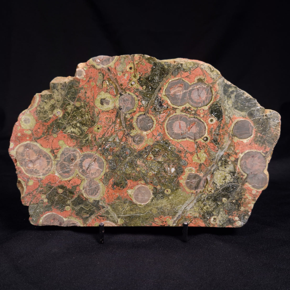 RHYOLITE (RAINFOREST JASPER), Australia YSC116