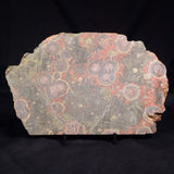 RHYOLITE (RAINFOREST JASPER), Australia YSC116