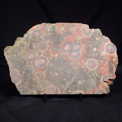 RHYOLITE (RAINFOREST JASPER), Australia YSC116