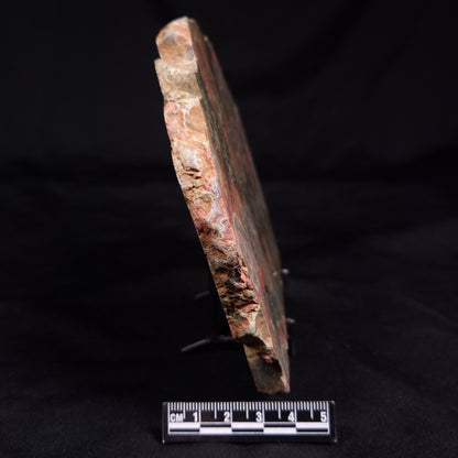 RHYOLITE (RAINFOREST JASPER), Australia YSC116