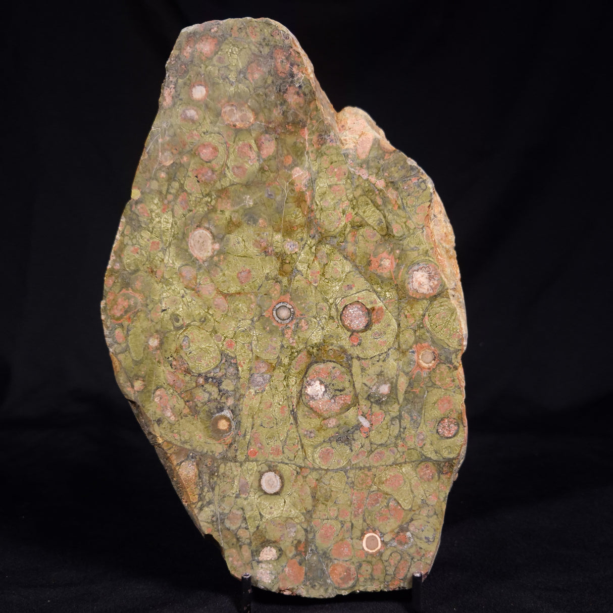 RHYOLITE (RAINFOREST JASPER), Australia YSC117