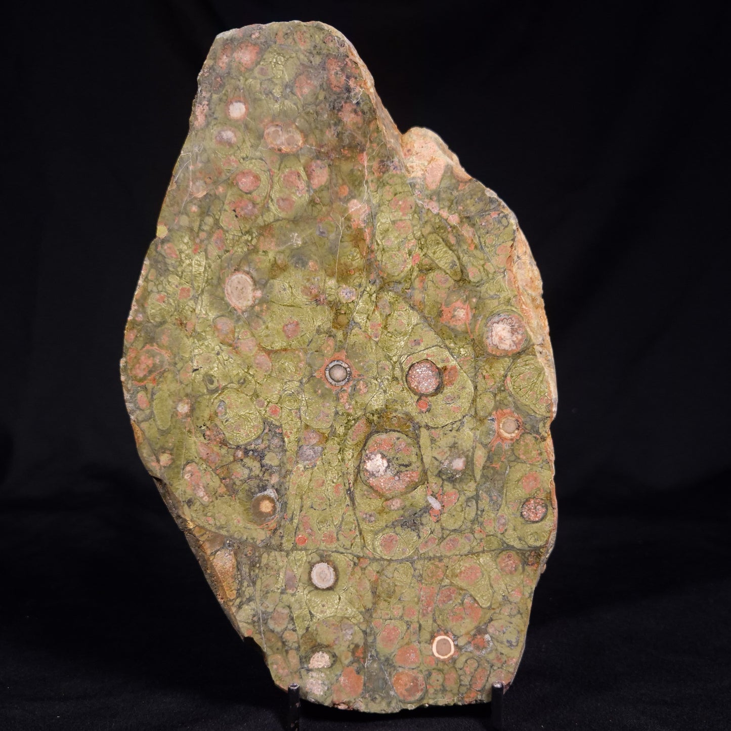 RHYOLITE (RAINFOREST JASPER), Australia YSC117