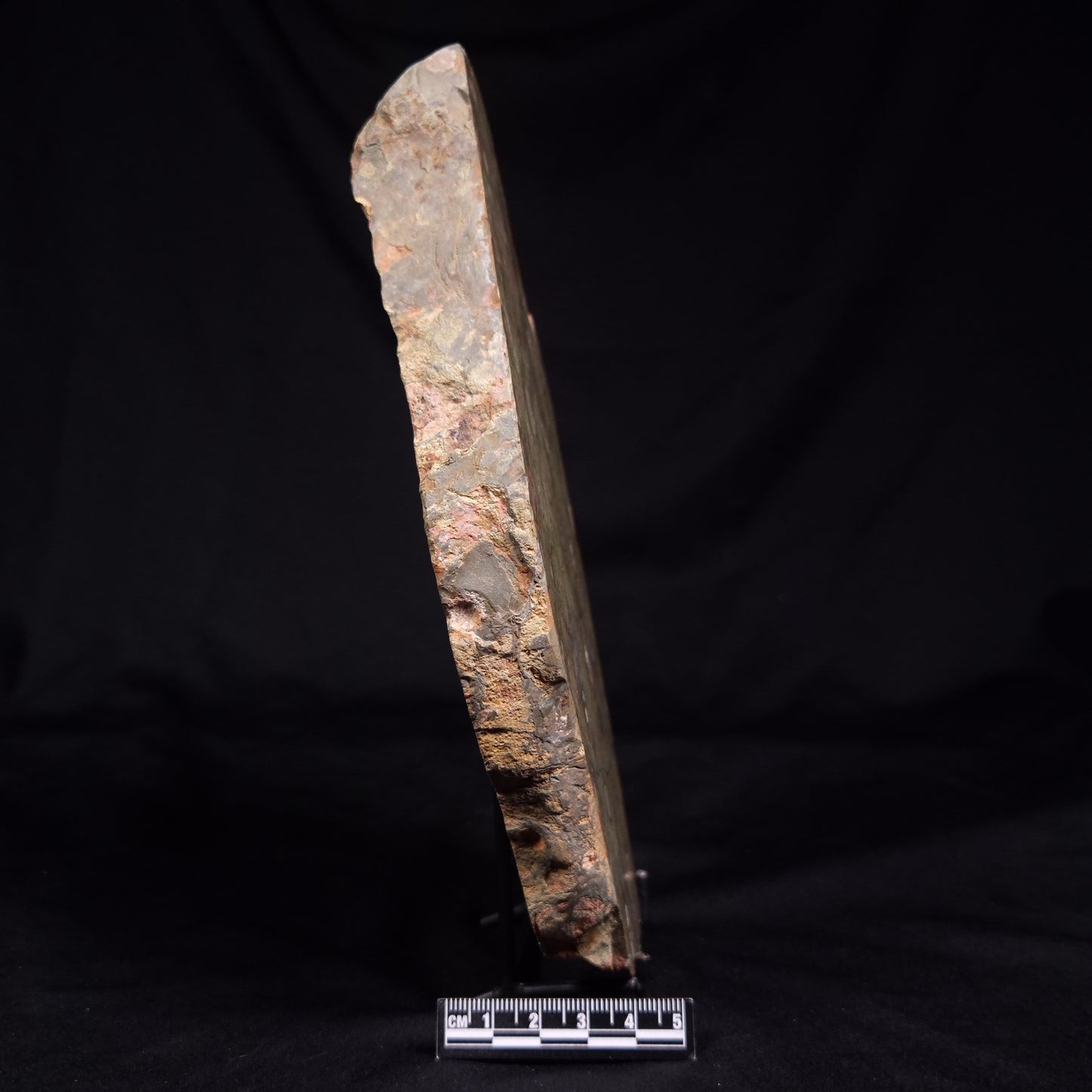 RHYOLITE (RAINFOREST JASPER), Australia YSC117