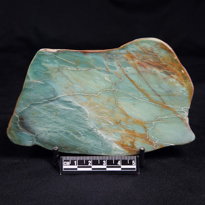 PRASE, Australia YSC118