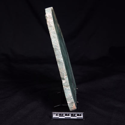 FUCHSITE, Australia YSC122