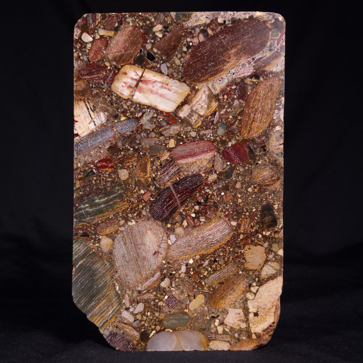 CONGLOMERATE, Australia YSC123