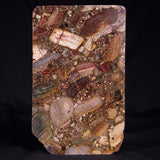 CONGLOMERATE, Australia YSC123