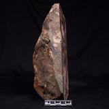 CONGLOMERATE, Australia YSC123