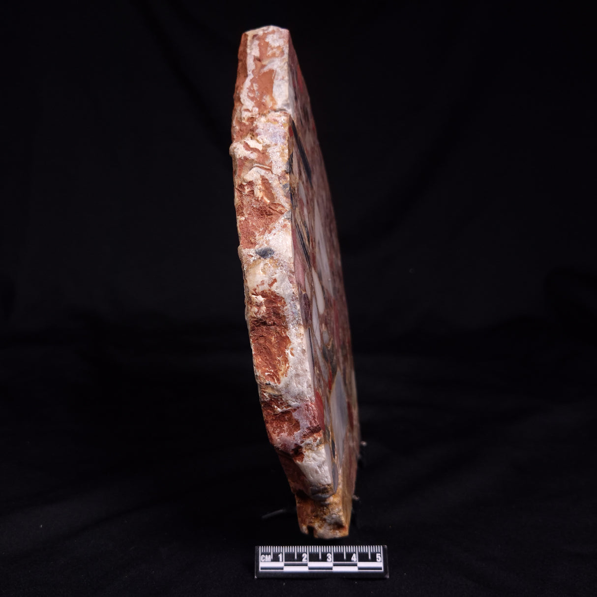 CONGLOMERATE, Australia YSC125