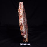 CONGLOMERATE, Australia YSC125