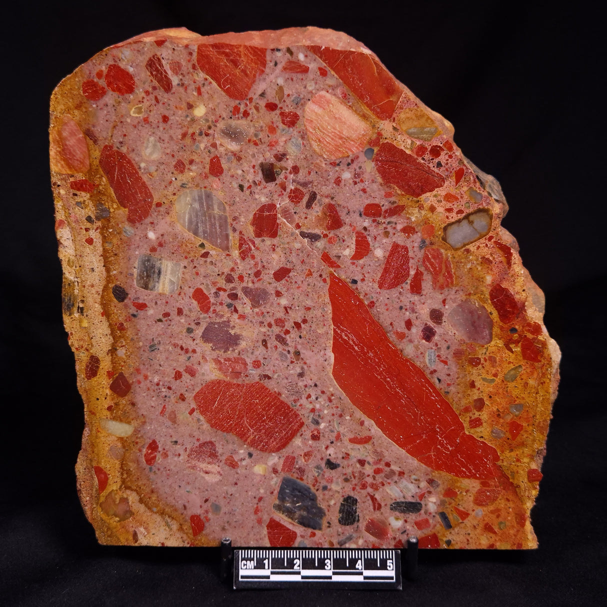 CONGLOMERATE, Australia YSC126