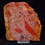 CONGLOMERATE, Australia YSC126