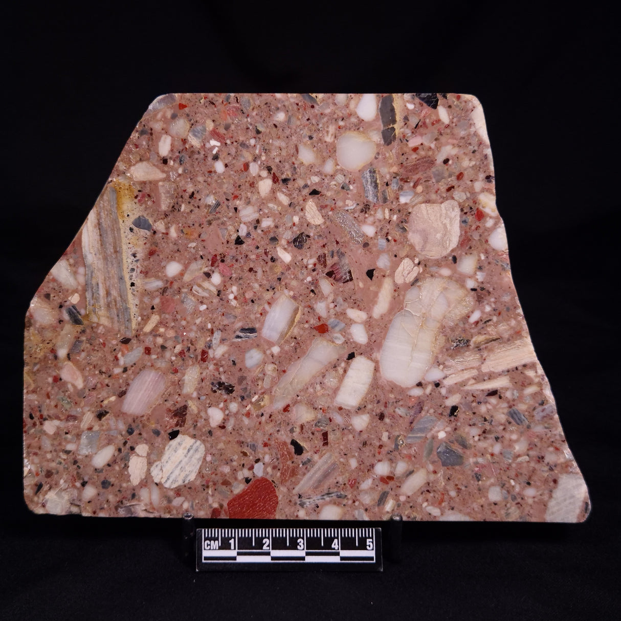 CONGLOMERATE, Australia YSC127