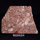 CONGLOMERATE, Australia YSC127