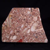 CONGLOMERATE, Australia YSC127