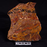 CONGLOMERATE, Australia YSC128
