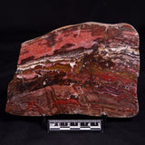 SNAKESKIN JASPER, Australia YSC129