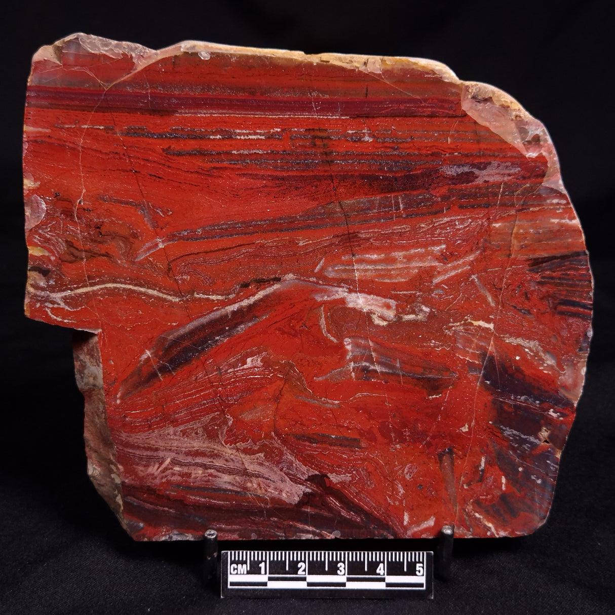 SNAKESKIN JASPER, Australia YSC130