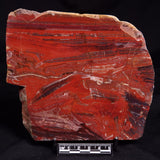 SNAKESKIN JASPER, Australia YSC130