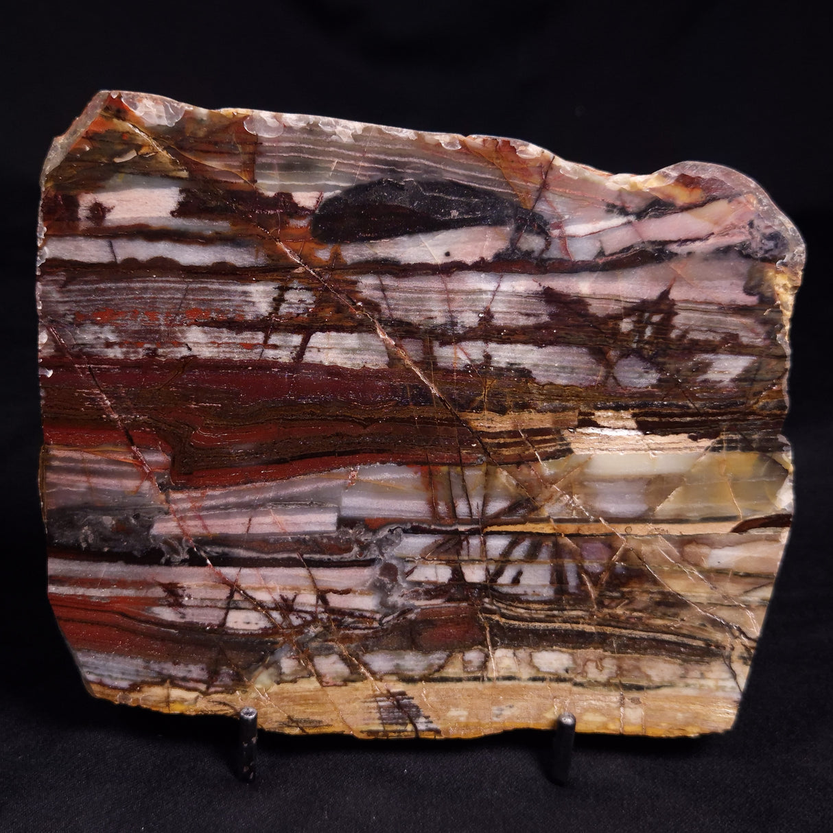 OUTBACK JASPER, Australia YSC131