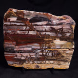 OUTBACK JASPER, Australia YSC131
