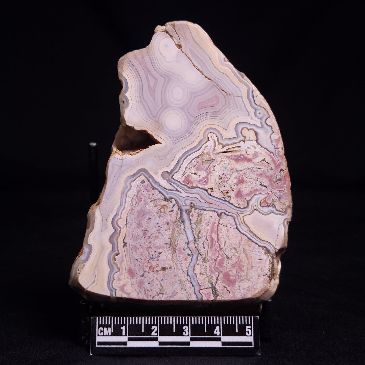 AGATE, Australia YSC134