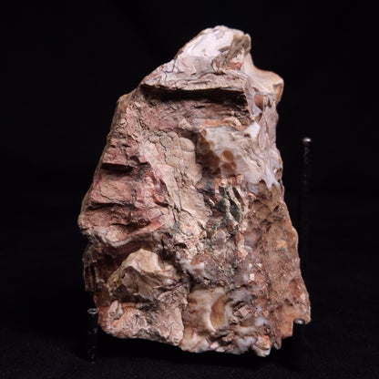 AGATE, Australia YSC134