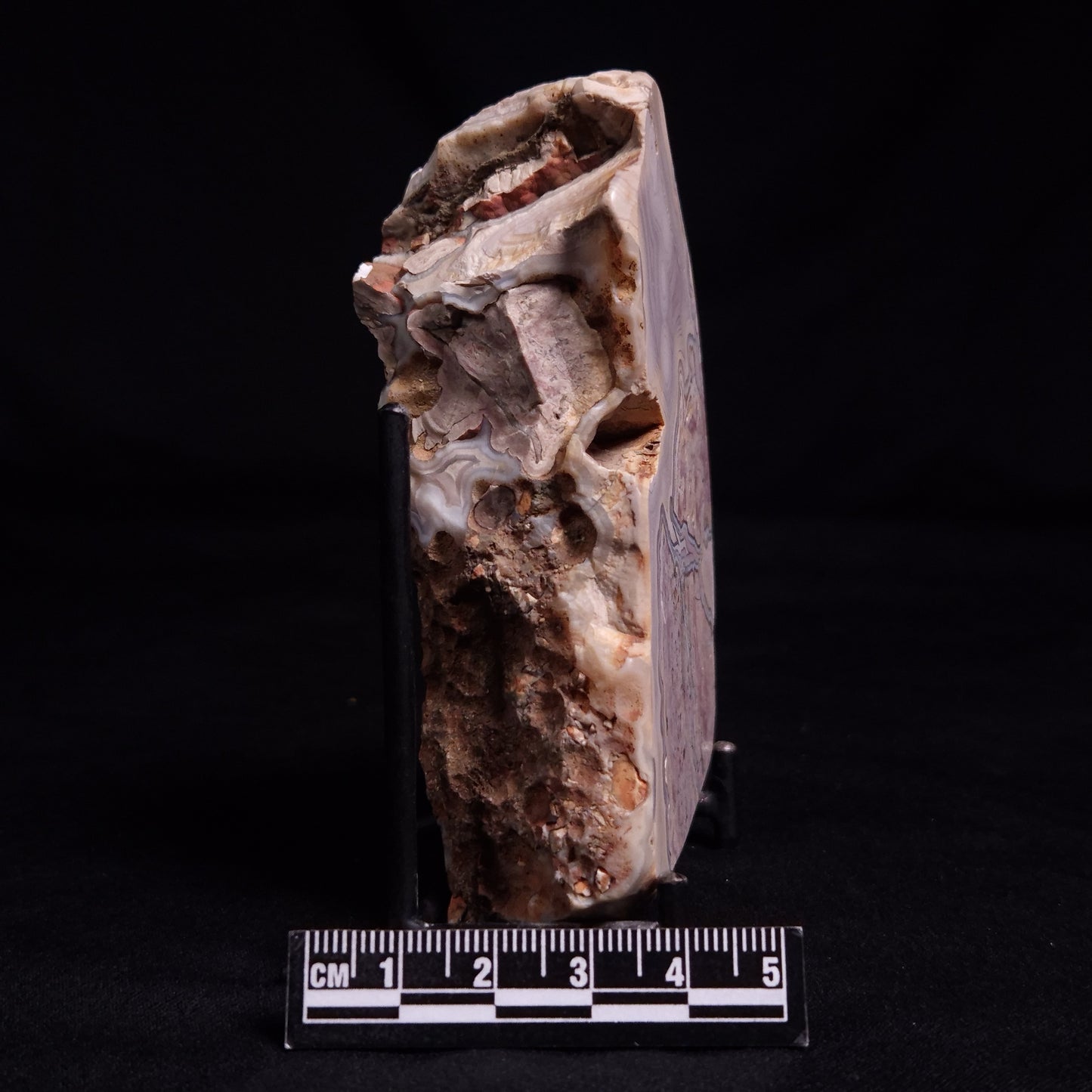 AGATE, Australia YSC134