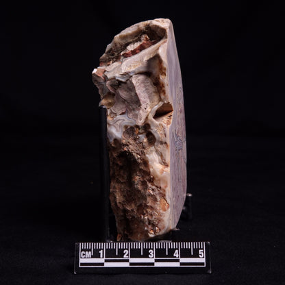 AGATE, Australia YSC134