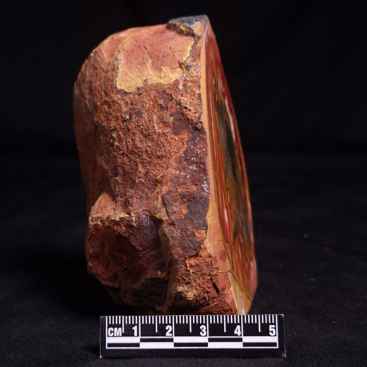 PARABURDOO PODS, Australia YSC137