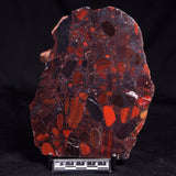 CONGLOMERATE HEMATITE AND JASPER, Australia YSC138