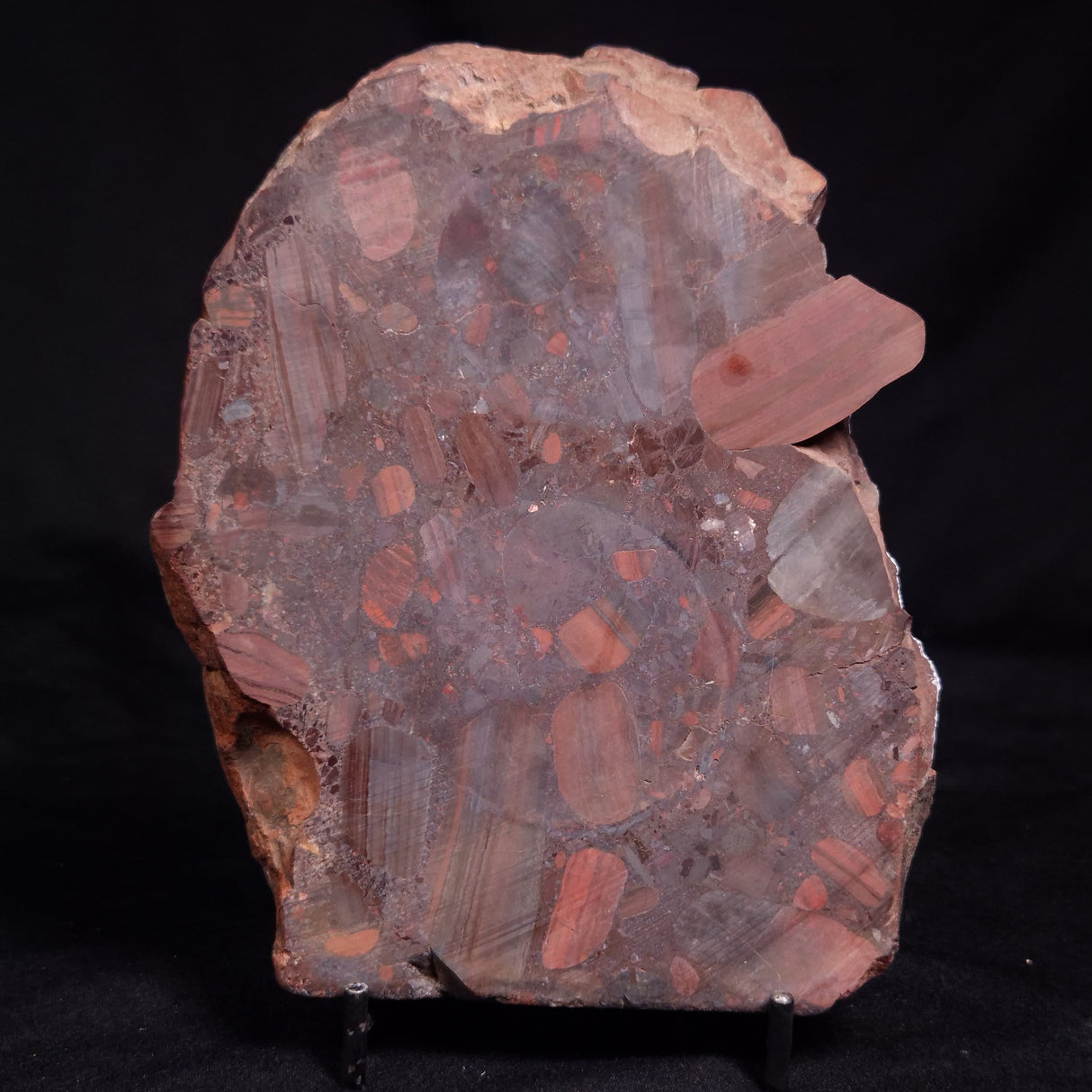 CONGLOMERATE HEMATITE AND JASPER, Australia YSC138