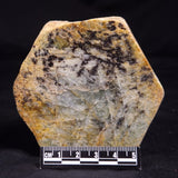 BERYL, Australia YSC139