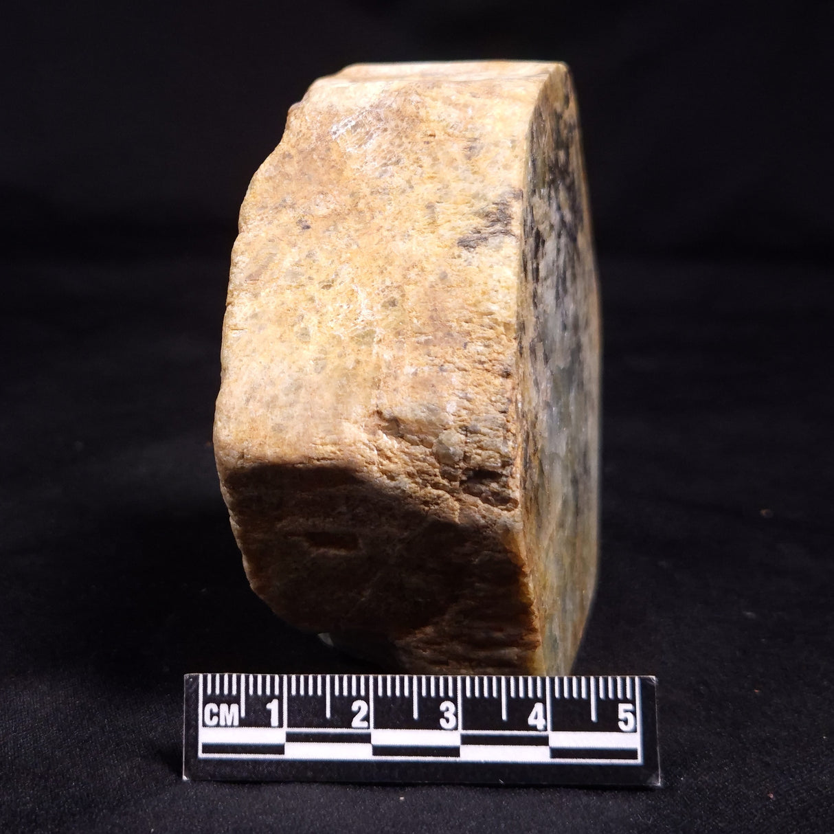 BERYL, Australia YSC139