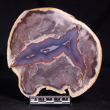 THUNDER EGG, Australia YSC140