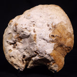 THUNDER EGG, Australia YSC140