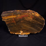 MARRA MAMBA TIGER EYE, Australia YSC141