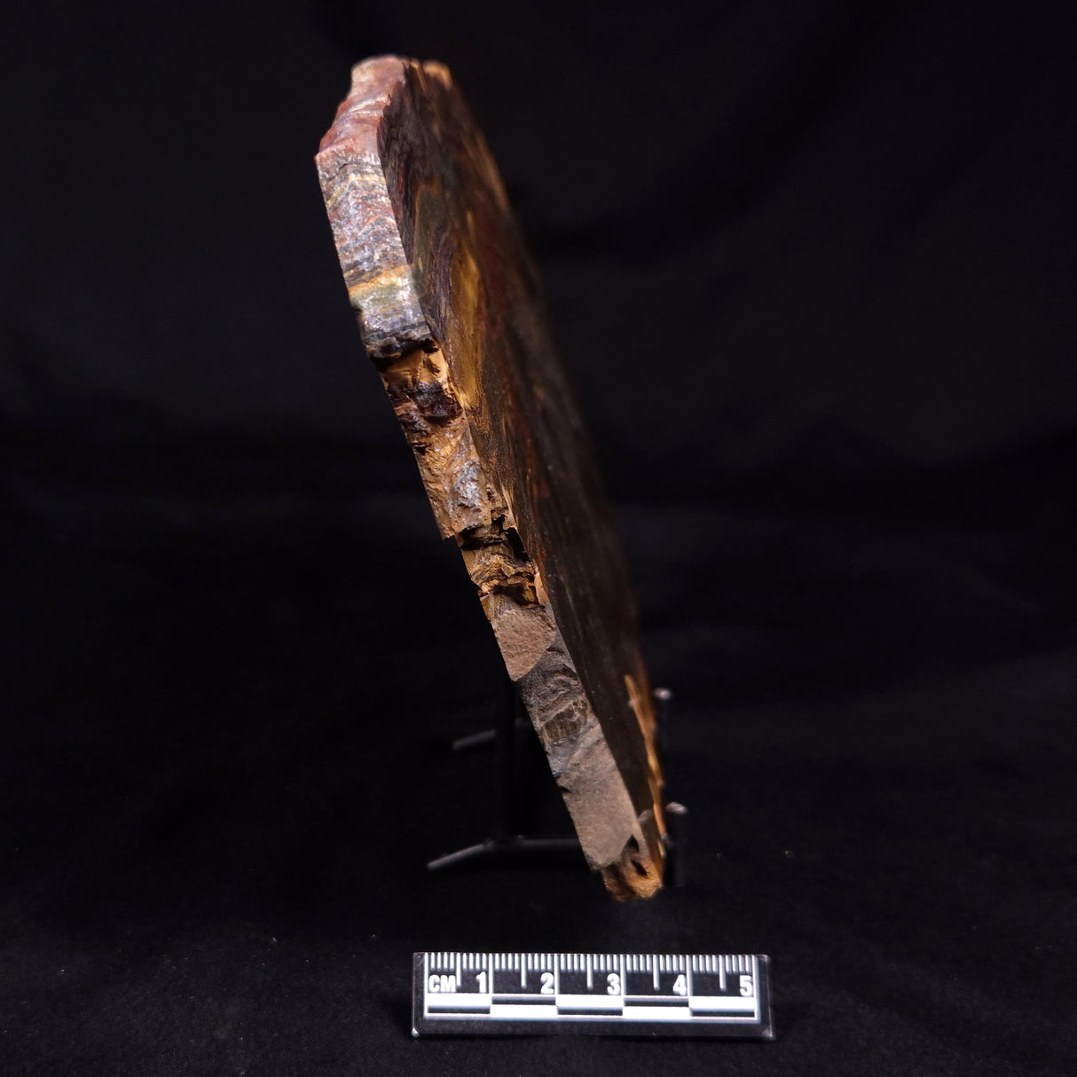 MARRA MAMBA TIGER EYE, Australia YSC141