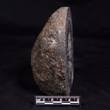 ORBICULAR GRANITE NODULE, Australia YSC142