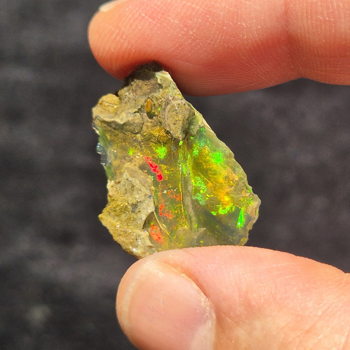 ROUGH WELO OPAL, Ethiopia XET011
