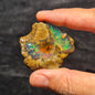ROUGH WELO OPAL, Ethiopia XET013