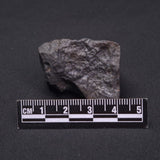 WILUNA METEORITE, H5 Chondrite, Australia YWM002