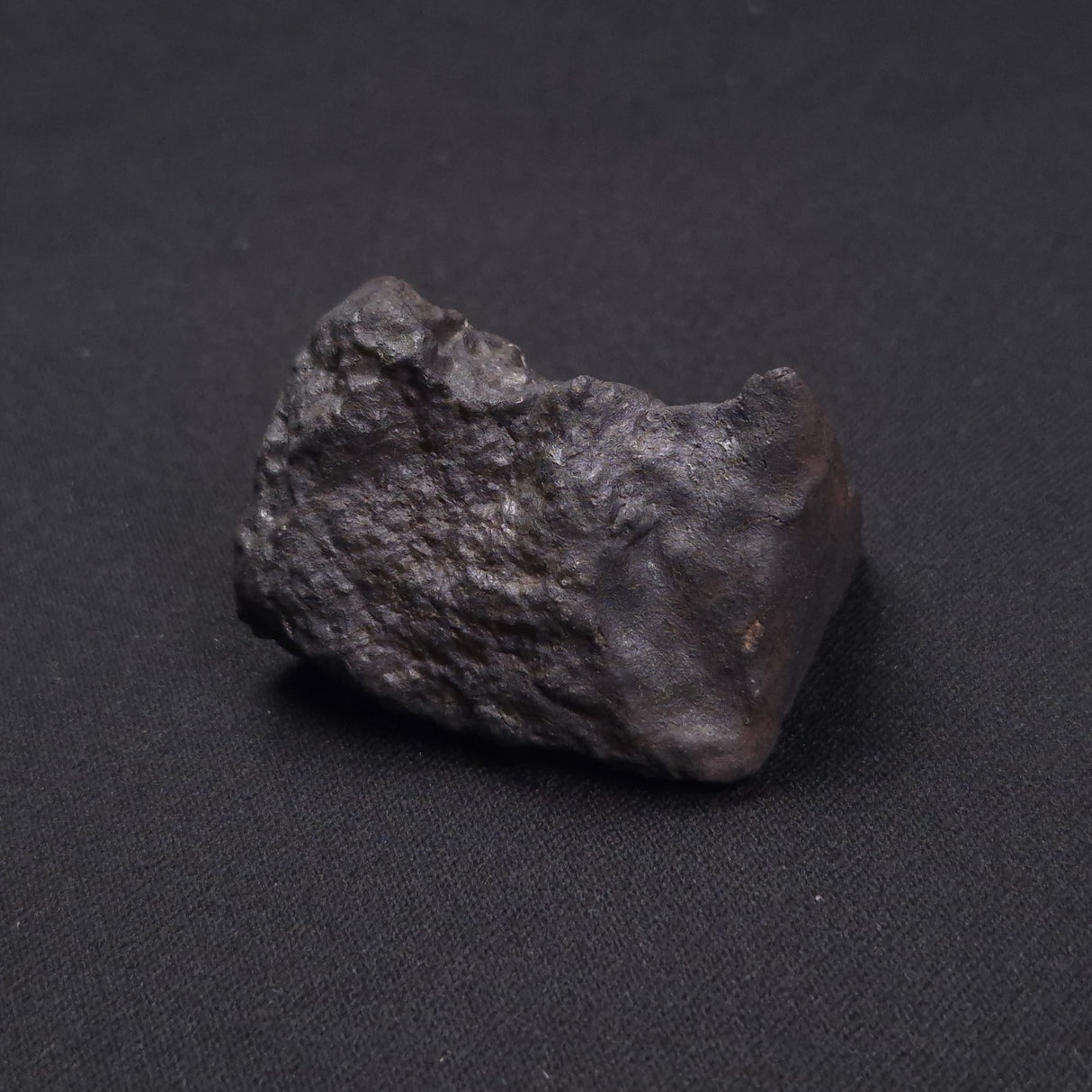 WILUNA METEORITE, H5 Chondrite, Australia YWM002