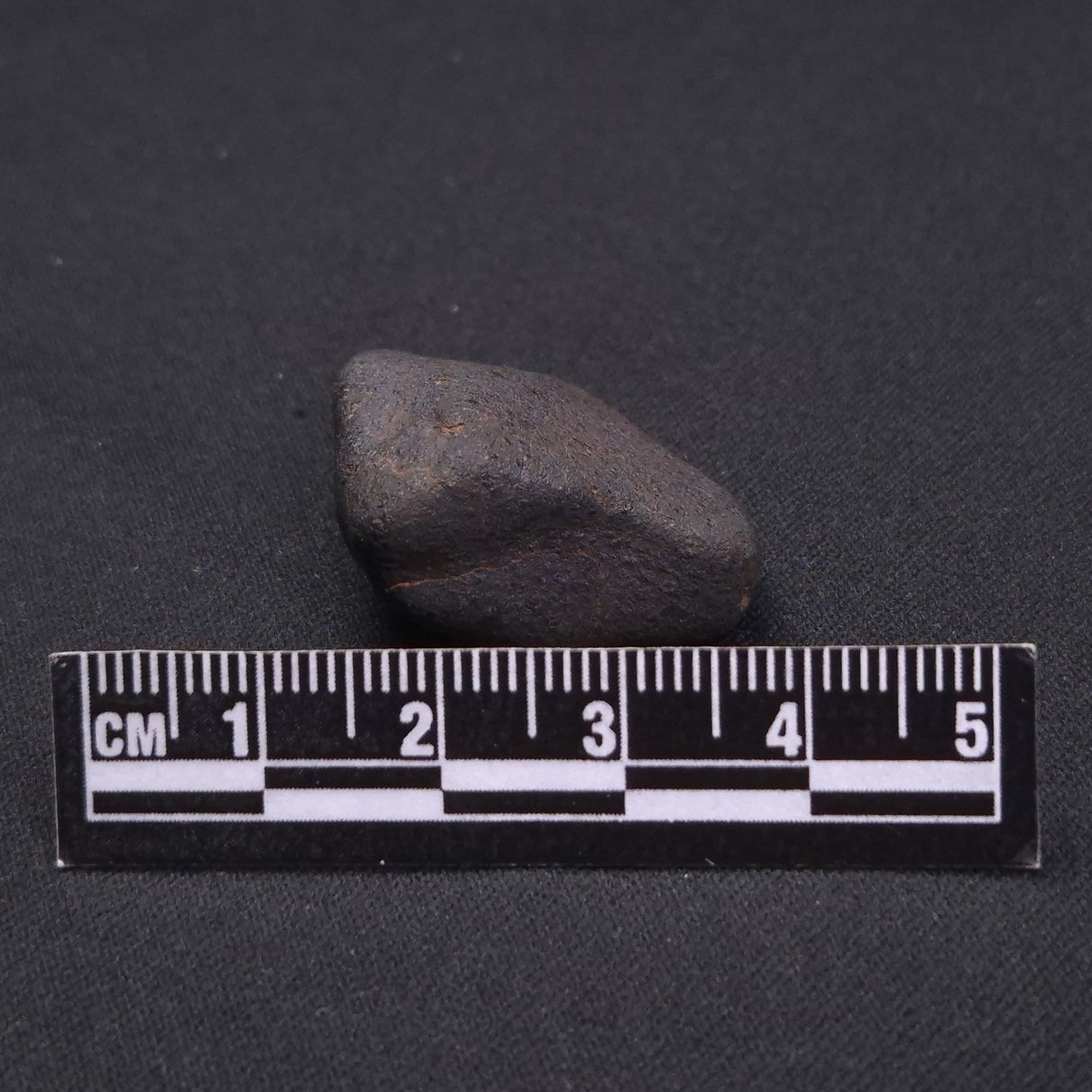 WILUNA METEORITE, H5 Chondrite, Australia YWM004