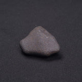 WILUNA METEORITE, H5 Chondrite, Australia YWM004
