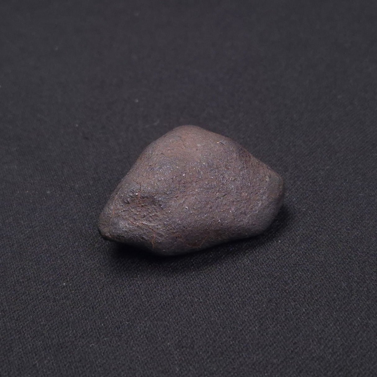 WILUNA METEORITE, H5 Chondrite, Australia YWM004